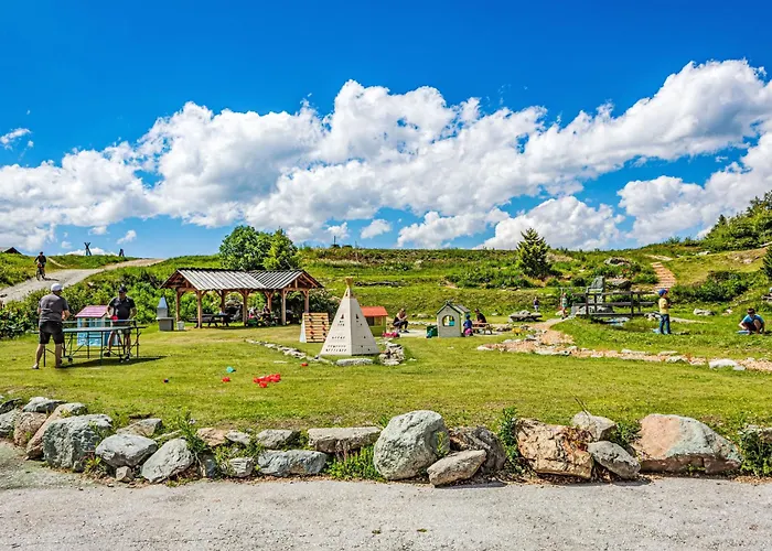 Dixence 109 By Interhome * レ・コロン